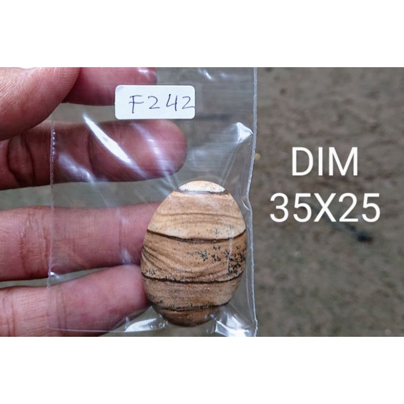 FOSIL KAYU NATURAL ALAM BATU AKIK GAMBAR NATURAL BATU AKIK NATURAL BATU CINCIN AKIKNATURAL CINCIN BA