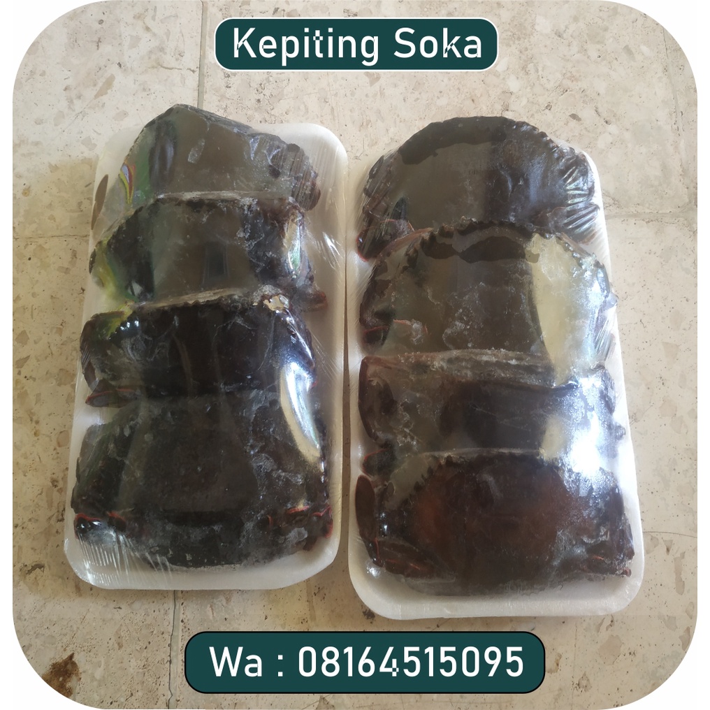 

KepitingSoka