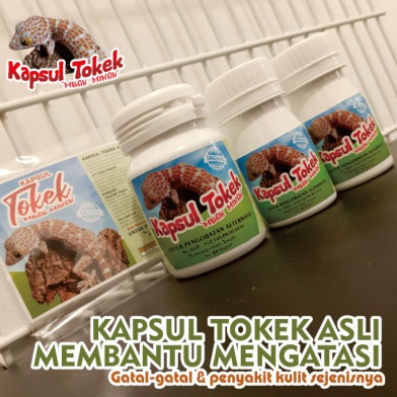 

COD✅ TERMURAH✅ Kapsul Tokek Asli Mbah Minah / kapsul tokek / Kapsul Tokek Mbah MINAH / kapsul tokek asli