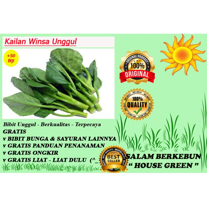 Bibit Benih Sayuran Kailan Winsa Isi + 50 Biji