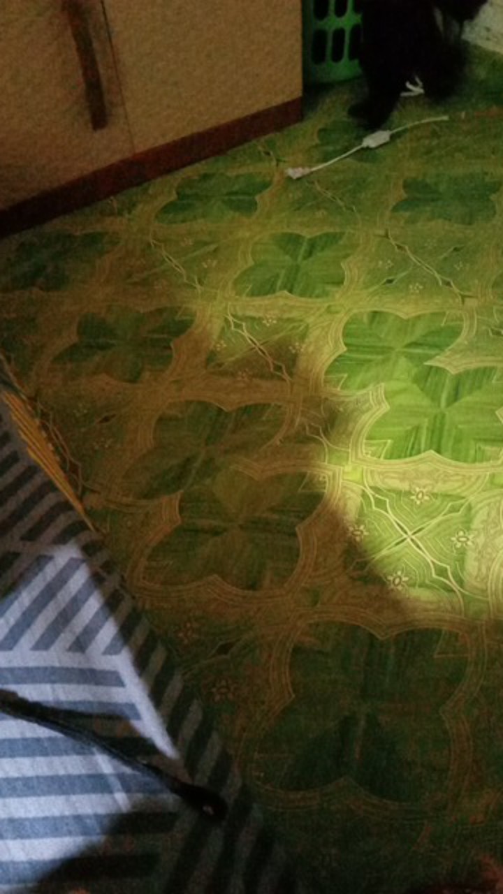 Tey-17 Batik Wanita Asj Sa Hrb026 Kenongo Kemeja Tosca Pendek