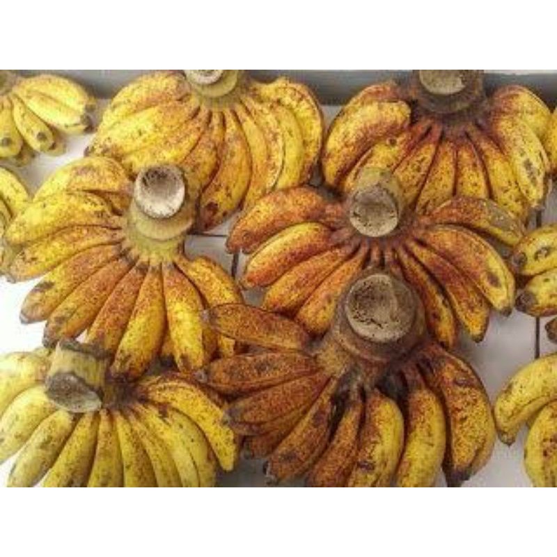 

pisang raja sereh /1 sisir