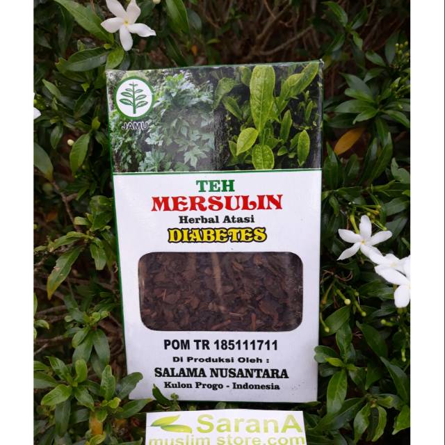 

Teh Mersulin Herbal Alami Untuk Diabetes