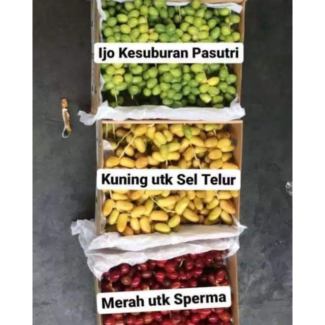 

Kurma Muda BARHEE mix 3 warna 1KG BONUS ZURIAT + Tespack kurma Kuning merah Hijau barhee promil termurah