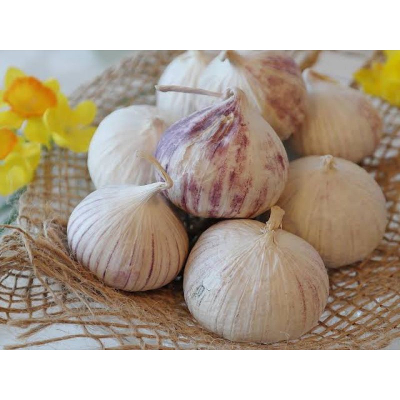 

SUNA TUNGGAL ( BAWANG PUTIH TUNGGAL) 100G