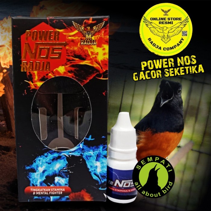 Dftoiutamtam Radja - Power Nos Vitamin Burung Power Nos Radja Penggacor Murai Pwnrj