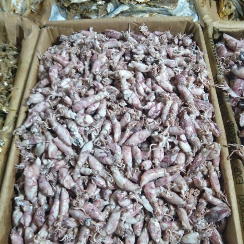 

Cumi Asin Kecil 1/4kg (500g)