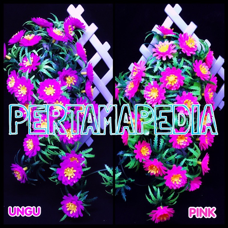 C5 Bunga Aster Gigi/Bunga Plastik/Daun Plastik/Rumput Plastik/Daun Rambat Plastik/Bunga Dekorasi