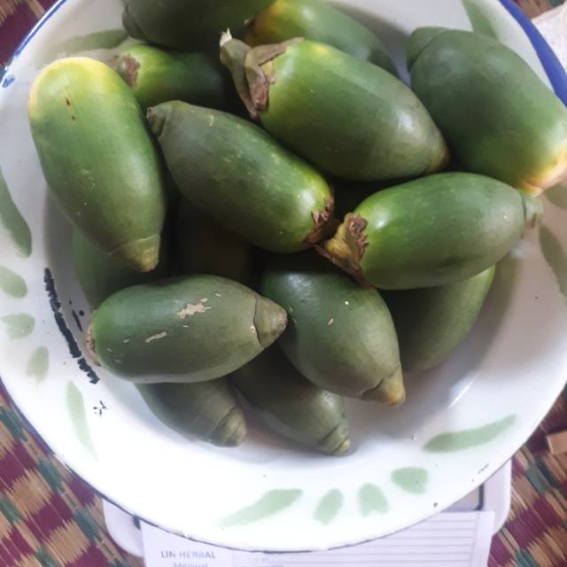 

Murah buah pinang muda jambe muda segar Sudah izin PIRT