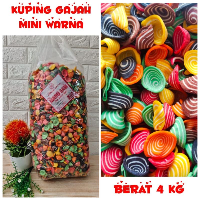 

kuping gajah mini