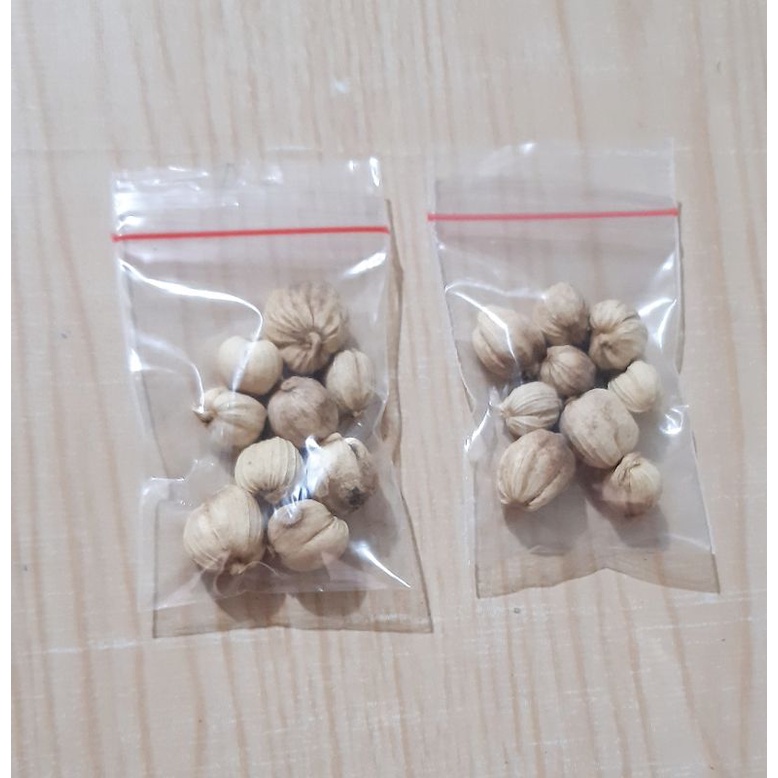 

REMPAH BUMBU DAPUR KAPULAGA