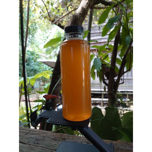 

Madu Hutan Asli Kalimantan