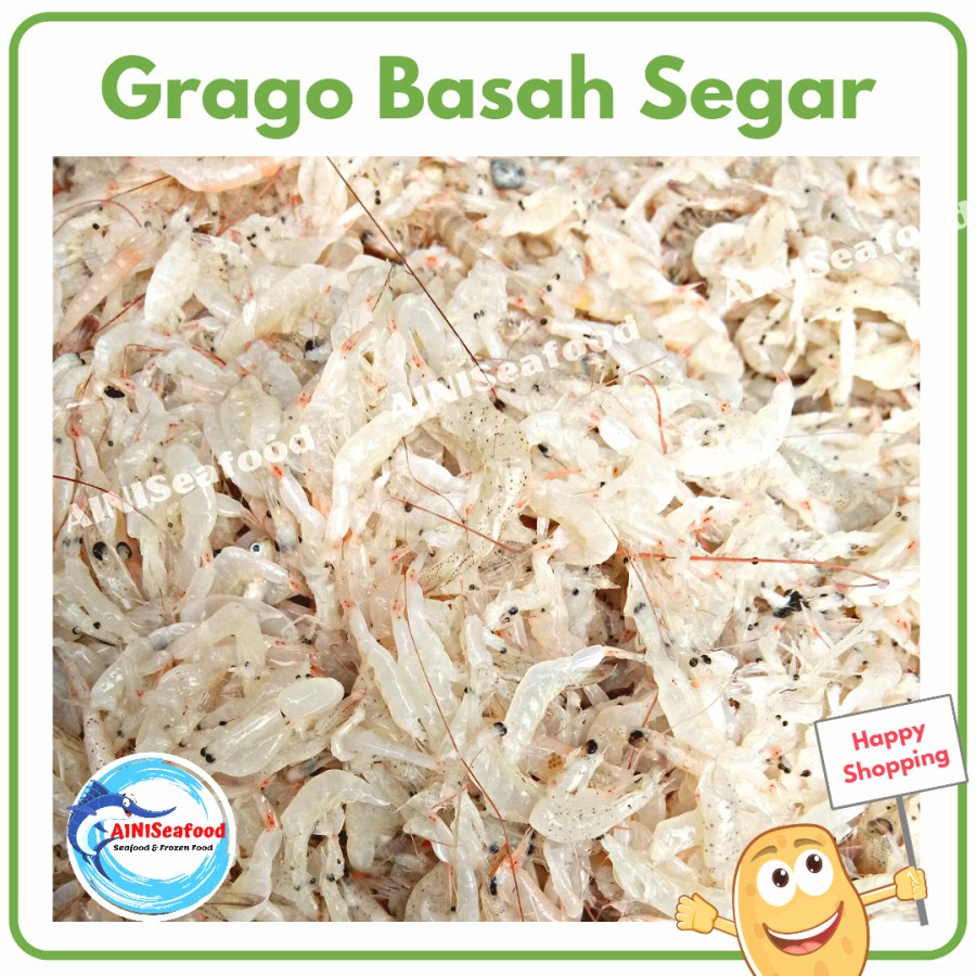 

Udang Peyek / Udang Rebon / Udang Drago / Grago Basah Segar