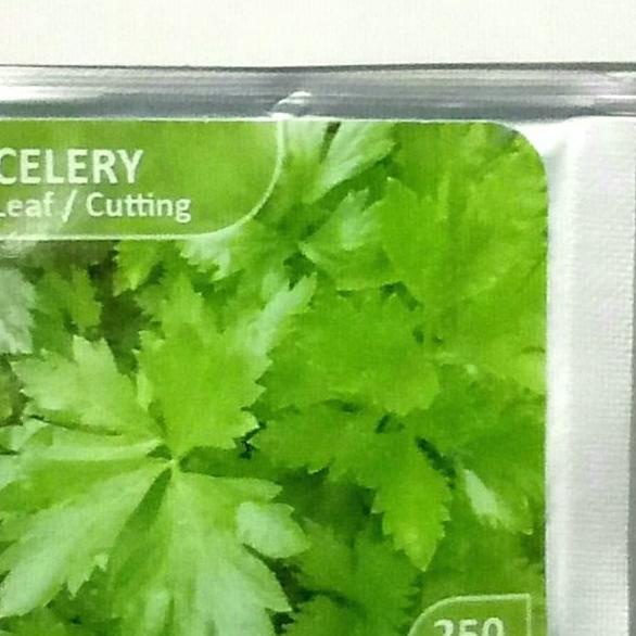 ➯ Bibit Import Celery Seledri Daun ♠