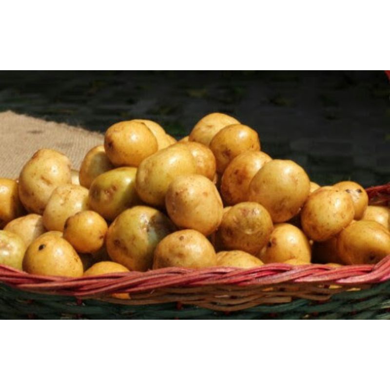 

[SAKHARA SHOP] KENTANG BABY (500 GRAM)
