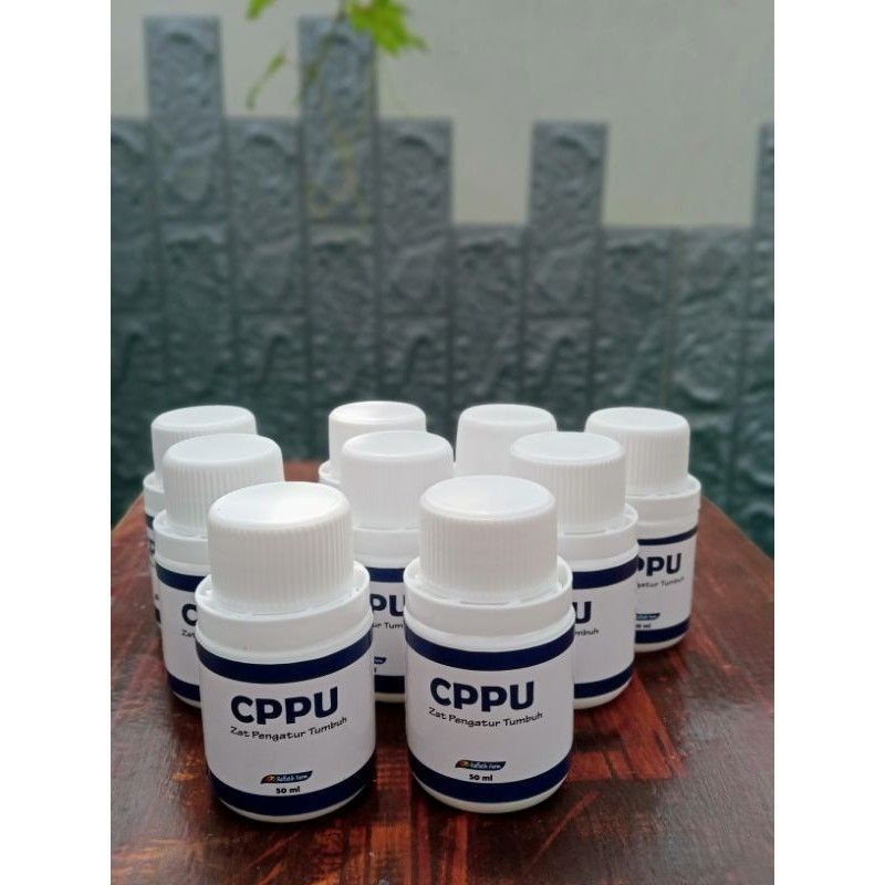 CPPU Original kang warso raffatih farm hormon zpt pembesar buah anggur jeruk pir apel tanaman buah