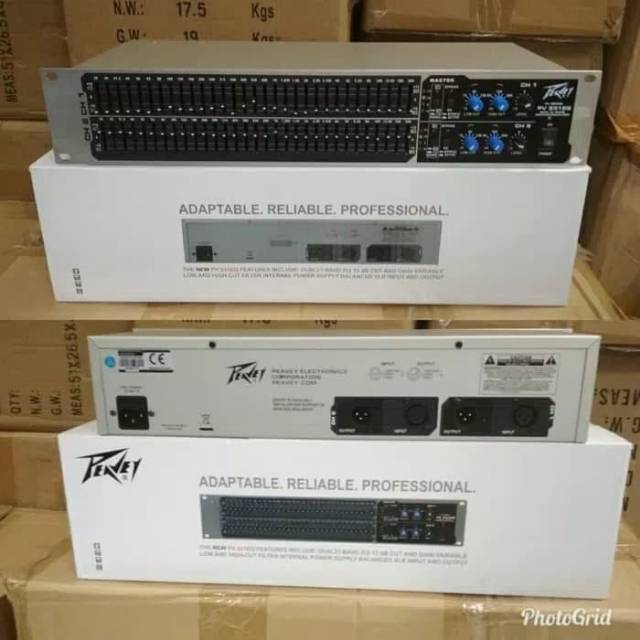 Equalizer PEAVEY PV 231