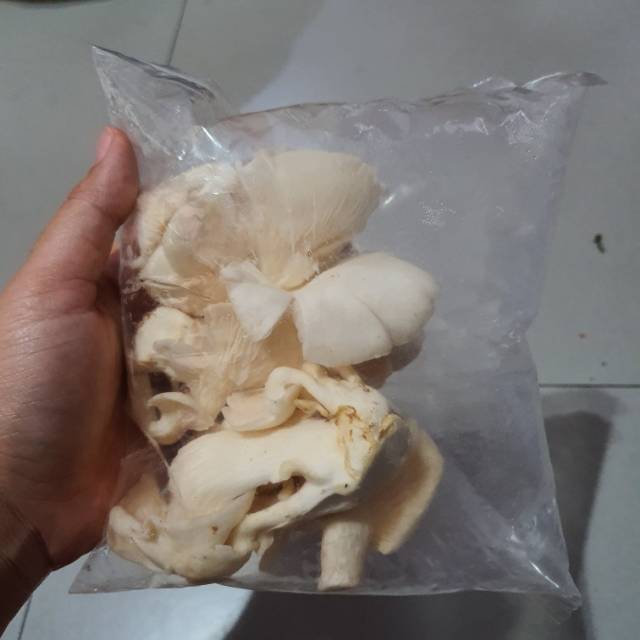 

Jamur Tiram 100 gram