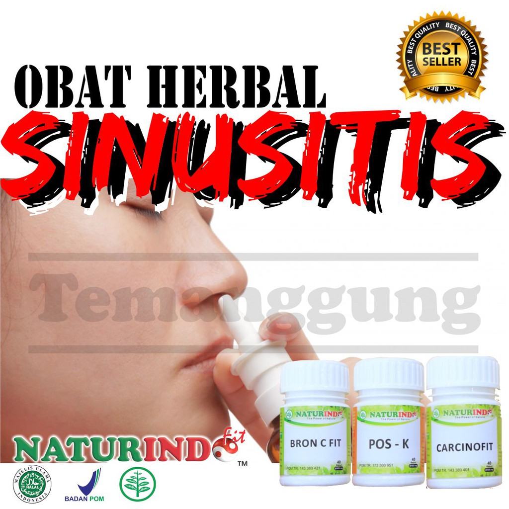 Jual Obat Sinusitis Sinus Paling Ampuh Menahun Kronis Polip Hidung Anak ...