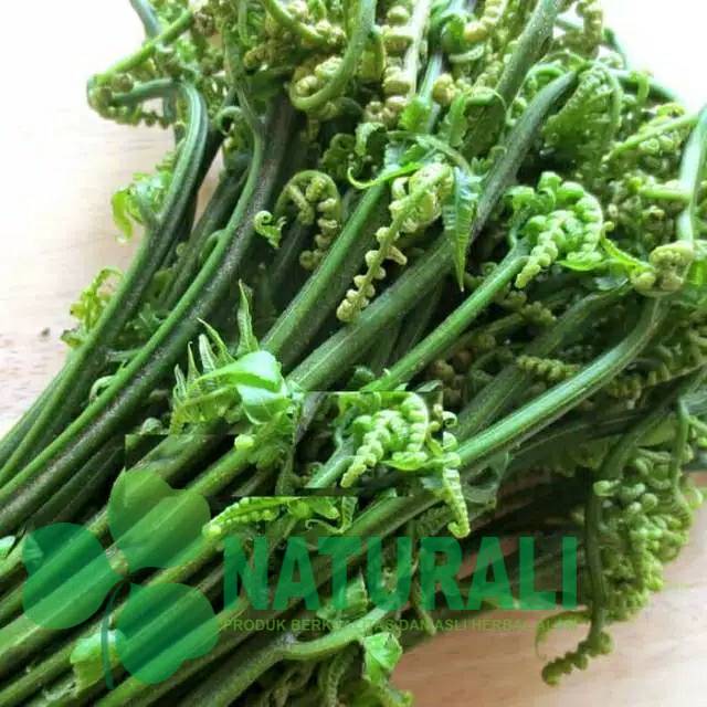 

SAYUR PAKIS LEZAT MANTAPp