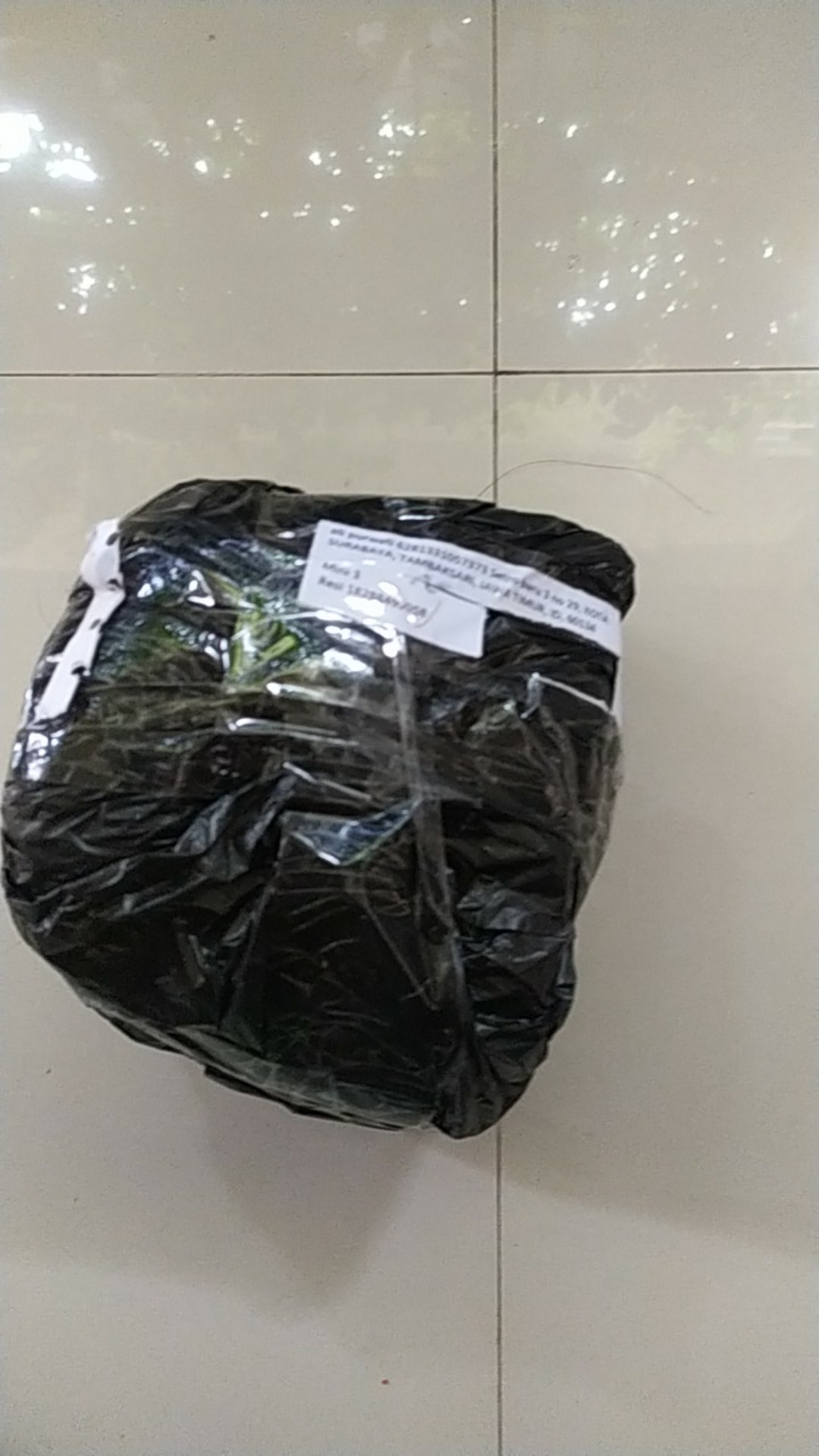 Promo Pot Anggrek Sabut Kelapa Unik Lucu Jual Promo