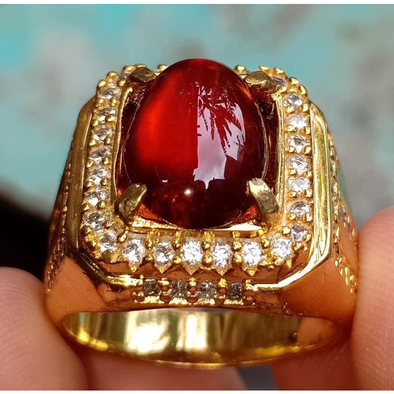 

HESONET GARNET