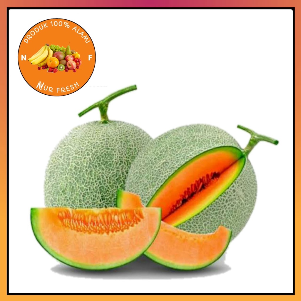 

Buah Melon Orange Rock Murah Bergaransi
