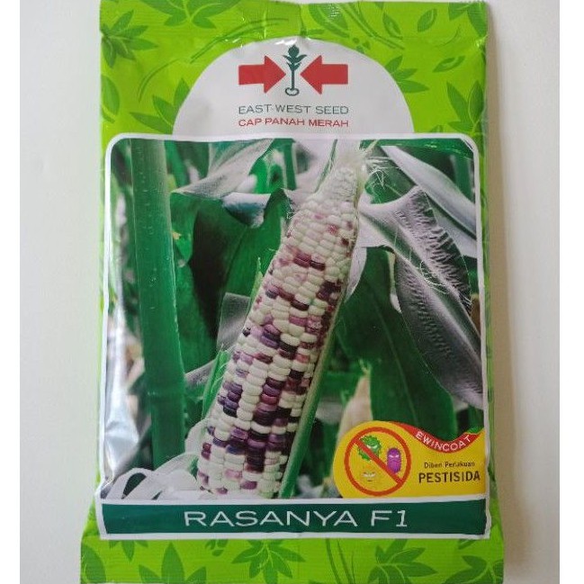 Benih Jagung Manis Ketan Putih Ungu RASANYA F1 isi 250 gr Bibit Pulut Hibrida Cap Panah Merah
