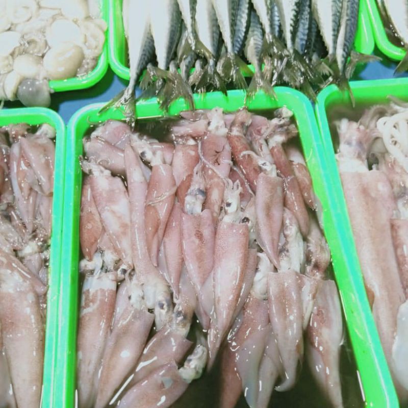 

Cumi Kecil 1kg (1000g)