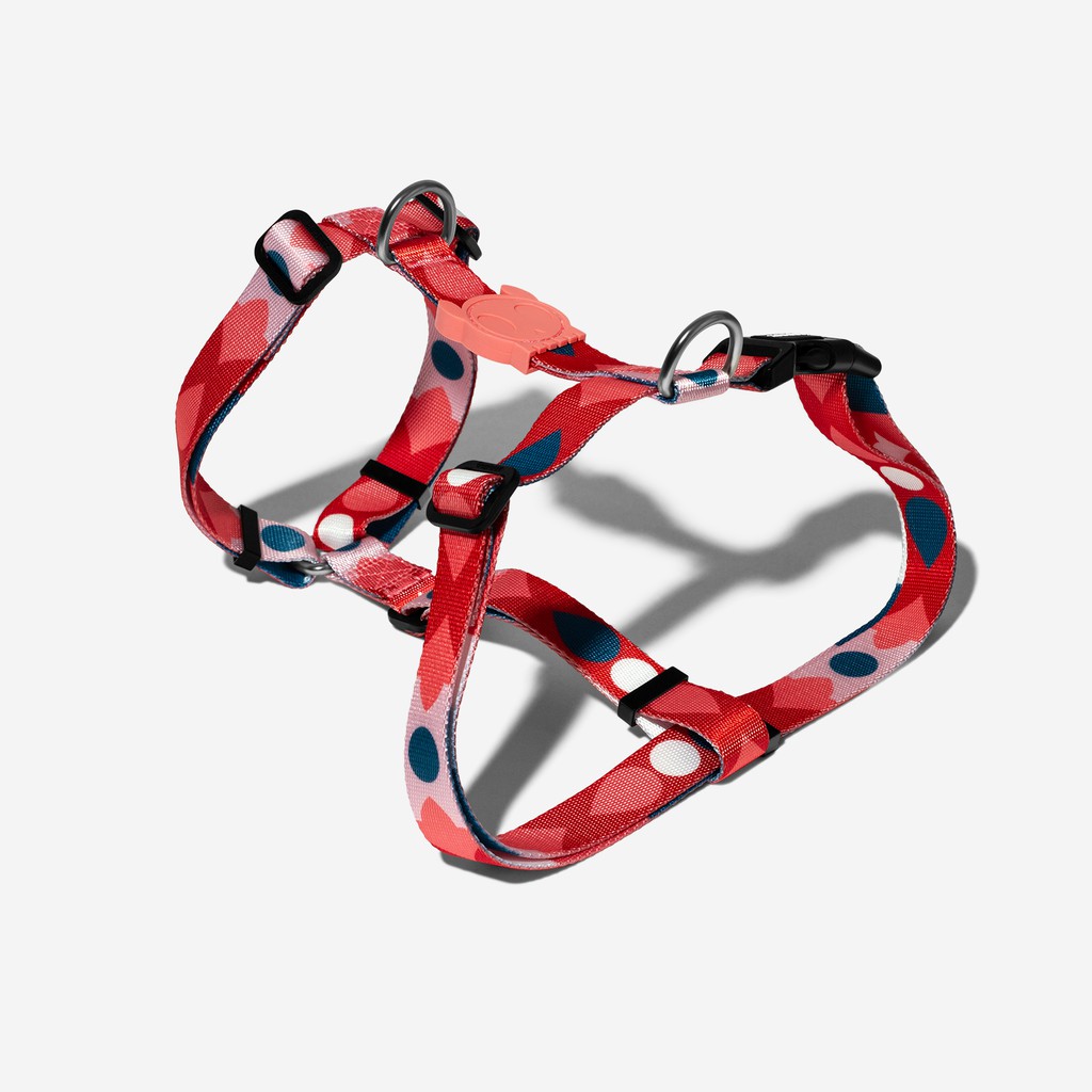 

Dog Harness Premium ZEEDOG H-Harness Marrakesh SAME