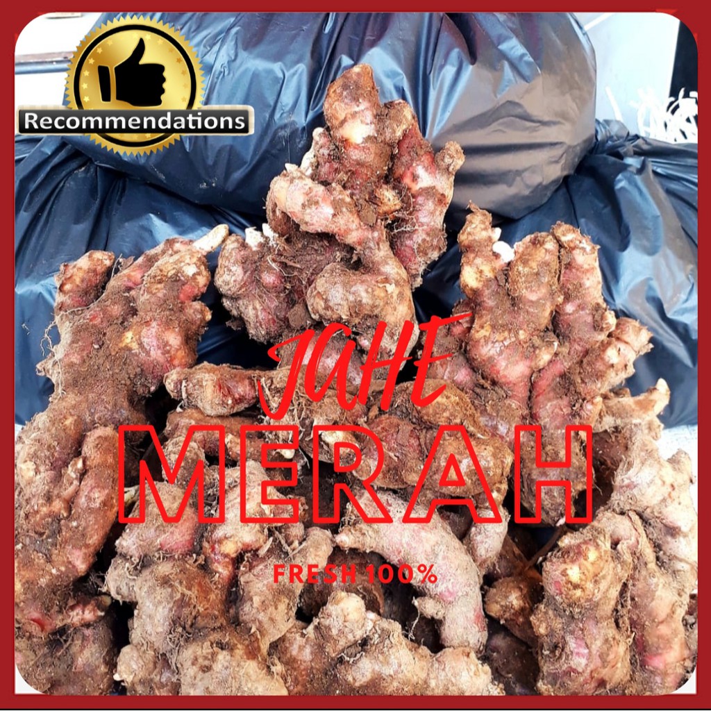 

JAHE MERAH SEGAR & ASLI TUA (1KG UKURAN BESAR)