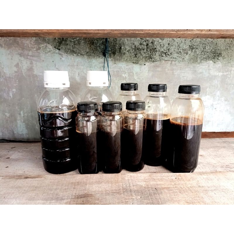 

[ GROSIR ] Madu Hutan Akasia 250 gram | Madu Asli | Madu Murni | Madu Hitam