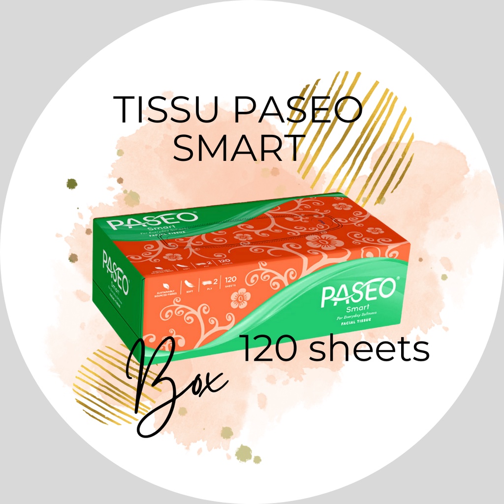 Tissue Paseo Smart 120's Box