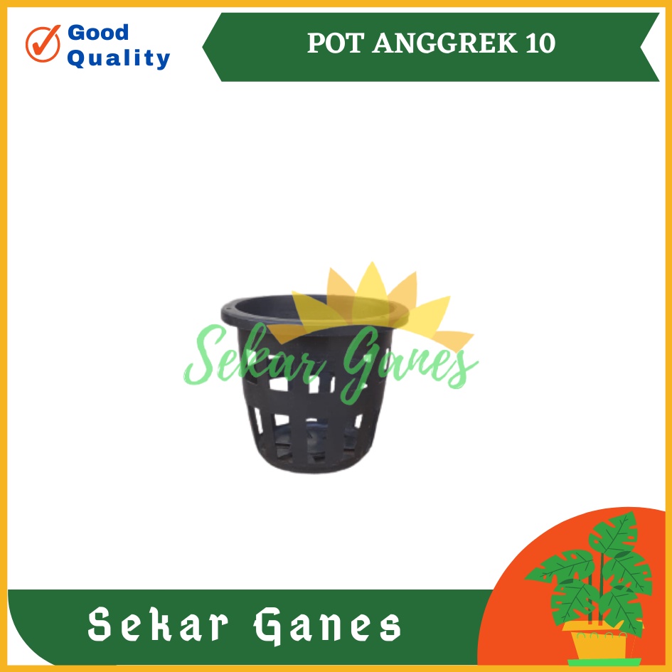 Pot Bunga Anggrek 10cm | Jual Pot Plastik Orchid 10 Cm Grosir Murah