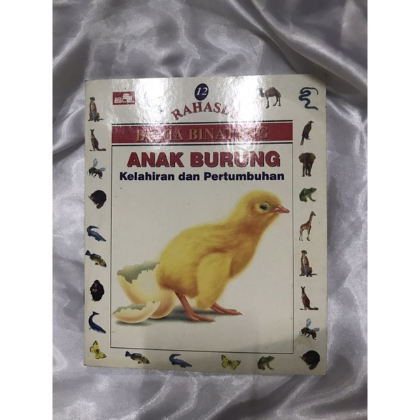 Buku Pengetahuan Anak Rahasia Dunia Binatang Anak Burung Kelahiran dan Pertumbuhan