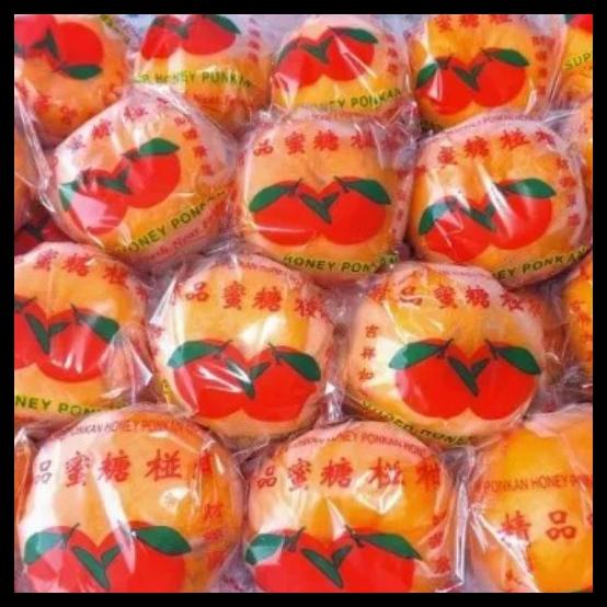 

Jeruk Ponkam / Jeruk Mandarin / Jeruk Imlek
