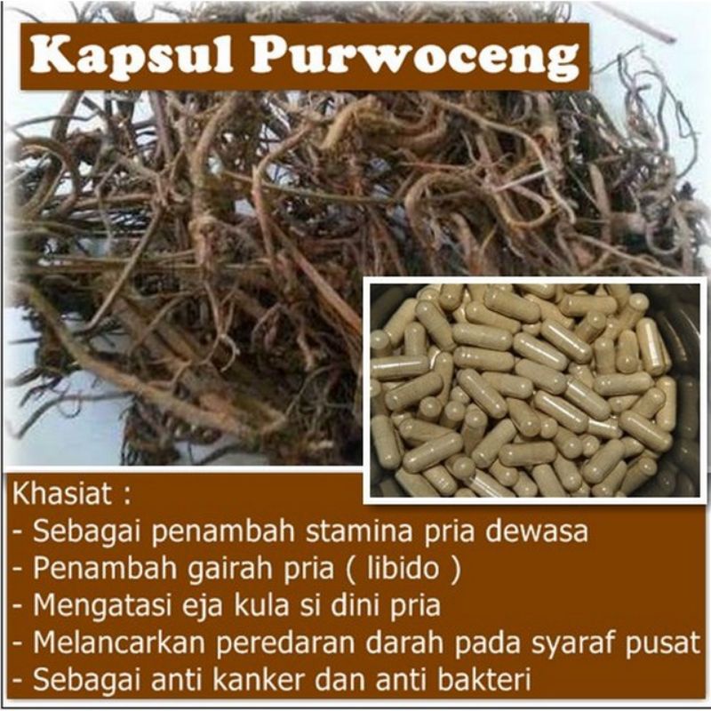 Kapsul Purwoceng-HIU 60 kapsul