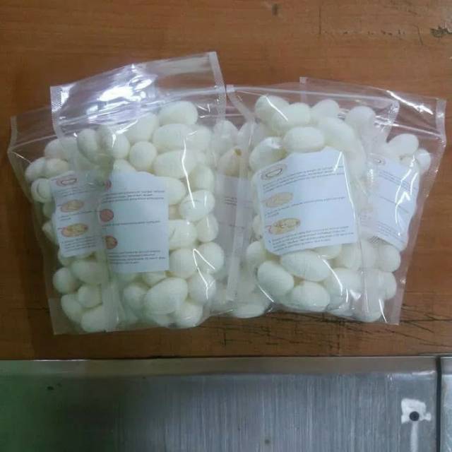 Kepompong ulat sutra white