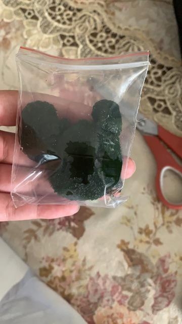 Marimo Moss Ball In Jar Tinggi 240 Ml 1< Alga Jepang