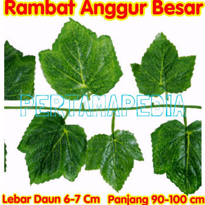 Daun Rambat Plastik/ Daun Rambat Palsu/ Daun Rambat Dekorasi/ Aquaria