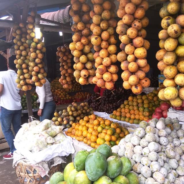 

Markisa madu Berastagi 1kg harga spesial s.d 30 September 24 saja