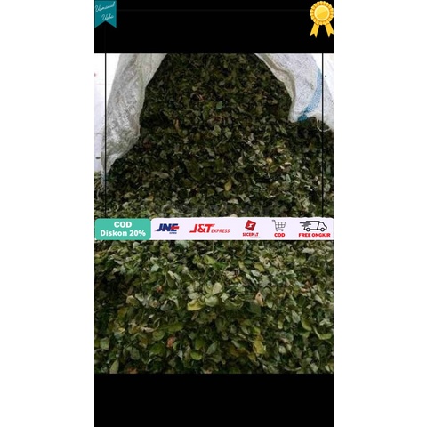 

◾COD◾ Daun kelor kering 1kg