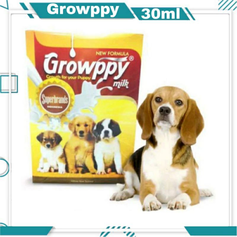 susu anjing growppy 30gr susu anjing saset susu anjing