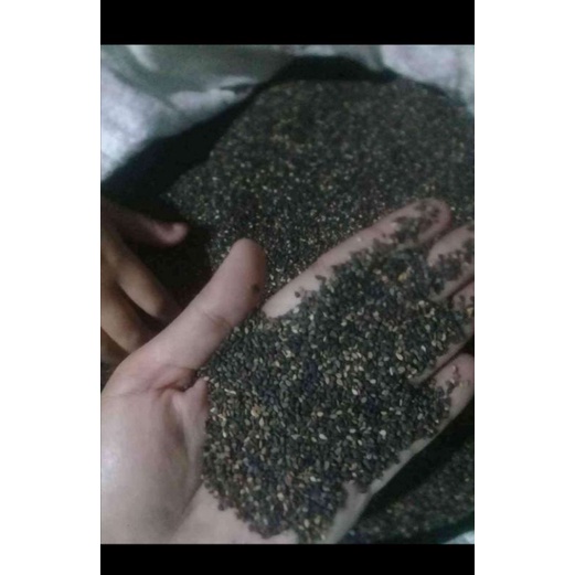 

BIJI WIJEN HITAM(BLACK SESAME)