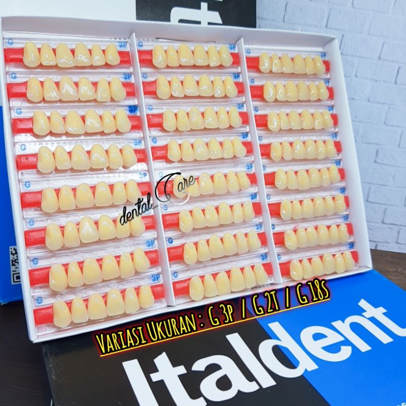 Italdent Gigi palsu Depan Atas  Warna [ G ] Ukuran 3p 447 17 18 18s 2T 1 Strip Isi 6 buah Gigi )