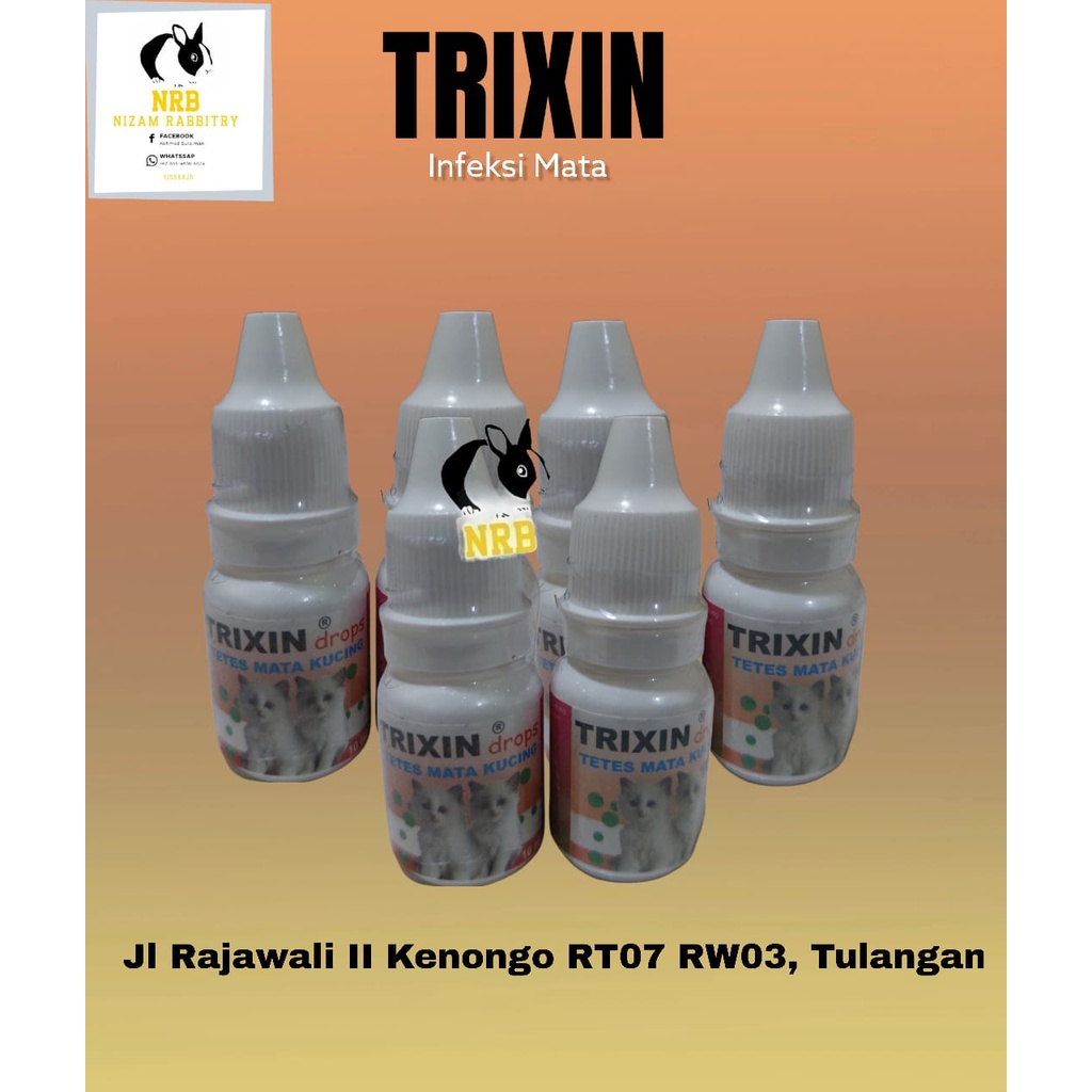 Obat Tetes Infeksi Mata Kucing Kitten Trixin Drop 10ml