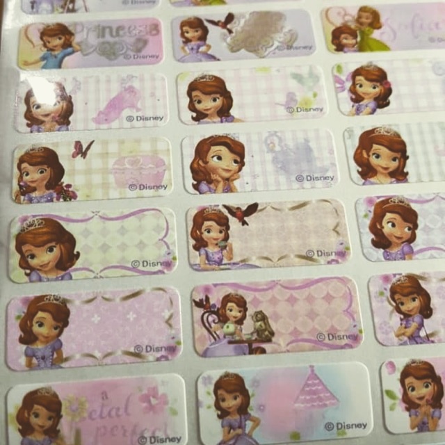 

Label waterproof Sofia The First Premium / Ori