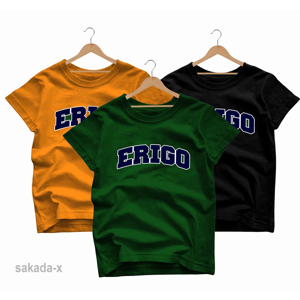 KAOS ANAK ERIGO /BAJU ATASAN ANAK USIA 2-12 THUN/KAOS ANAK LAKI-LAKI/KAOS ANAK PEREMPUAN/KAOS ANAK E