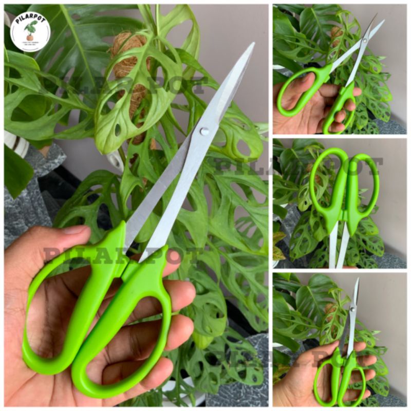 GUNTING BONSAI PRUNING DAUN AKAR 210MM KUAT DAN TAJAM - GUNTING HIJAU