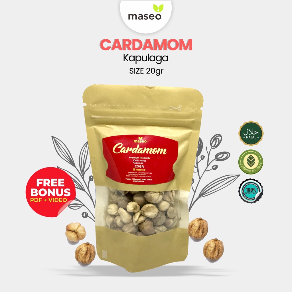 

KAPULAGA CARDAMOM Maseo Rempah JSR